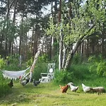Gaestesuite Am Waldrand, Ausstieg Auf Zeit 아파트 Heideblick