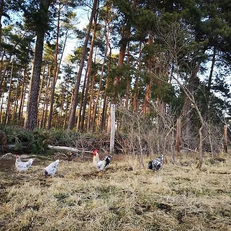 Lejlighed Gaestesuite Am Waldrand, Ausstieg Auf Zeit