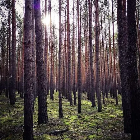 Gaestesuite Am Waldrand, Ausstieg Auf Zeit
