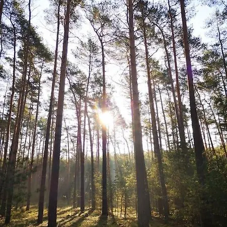 Gaestesuite Am Waldrand, Ausstieg Auf Zeit Heideblick