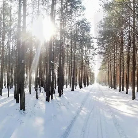 Gaestesuite Am Waldrand, Ausstieg Auf Zeit Appartement *