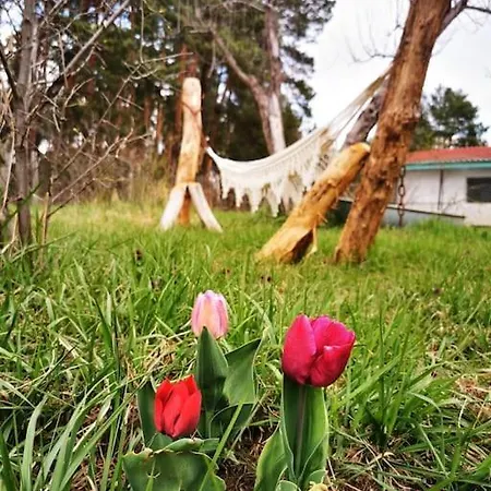 Апартаменты Gaestesuite Am Waldrand, Ausstieg Auf Zeit