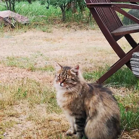 Апартаменты Gaestesuite Am Waldrand, Ausstieg Auf Zeit Heideblick