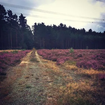 Gaestesuite Am Waldrand, Ausstieg Auf Zeit 아파트