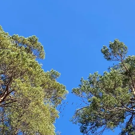 Gaestesuite Am Waldrand, Ausstieg Auf Zeit Апартаменты