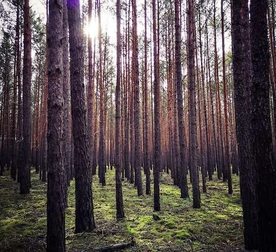 Gaestesuite Am Waldrand, Ausstieg Auf Zeit