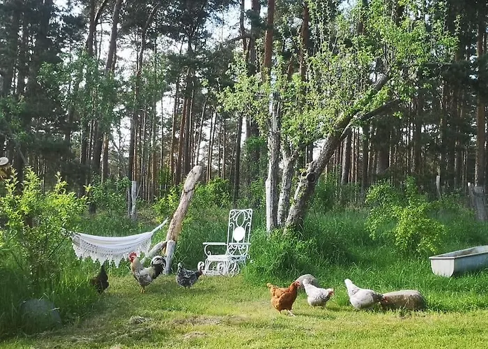 Gaestesuite Am Waldrand, Ausstieg Auf Zeit Appartement Heideblick