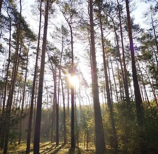 Gaestesuite Am Waldrand, Ausstieg Auf Zeit Heideblick