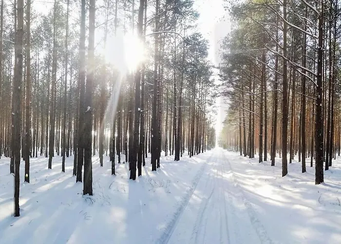 Gaestesuite Am Waldrand, Ausstieg Auf Zeit Daire *