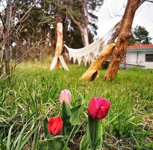 Daire Gaestesuite Am Waldrand, Ausstieg Auf Zeit