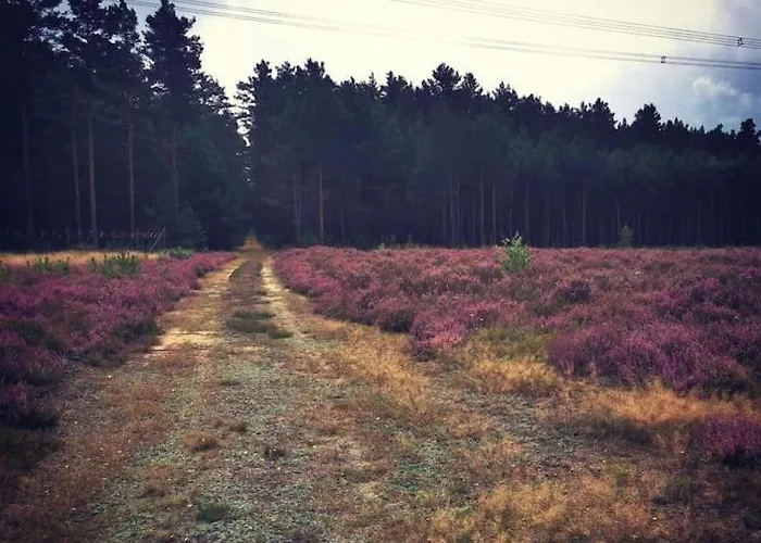 Gaestesuite Am Waldrand, Ausstieg Auf Zeit Appartement