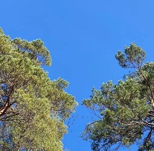 Gaestesuite Am Waldrand, Ausstieg Auf Zeit דירה